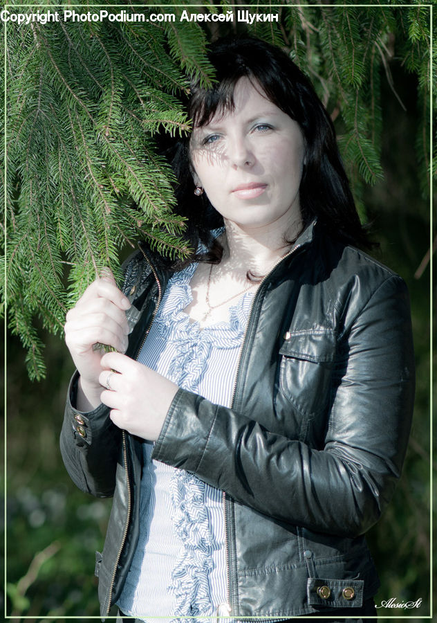 Human, People, Person, Conifer, Fir, Plant, Tree