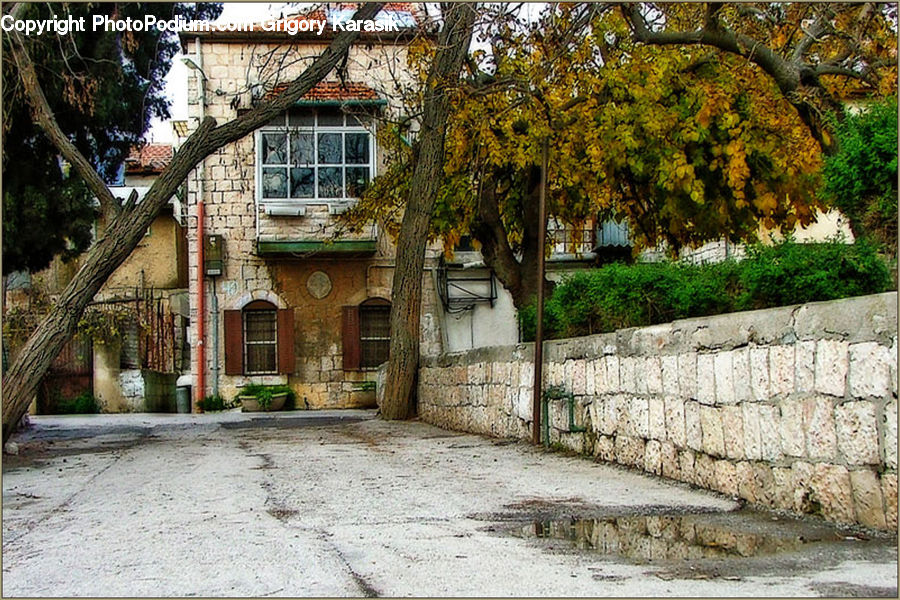 Building, Cottage, Housing, Boardwalk, Path, Pavement, Sidewalk