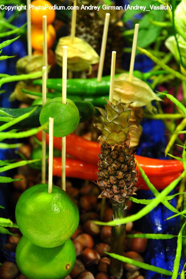 Candy, Lollipop, Sweets, Confectionery, Plant, Vine, Fruit