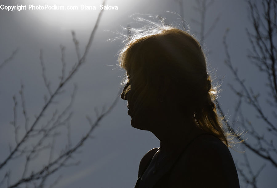 People, Person, Human, Light, Female, Girl, Woman