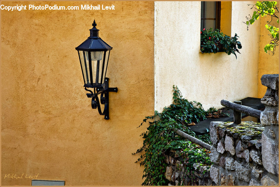 Plant, Potted Plant, Ivy, Vine, Lamp Post, Pole, Bonsai