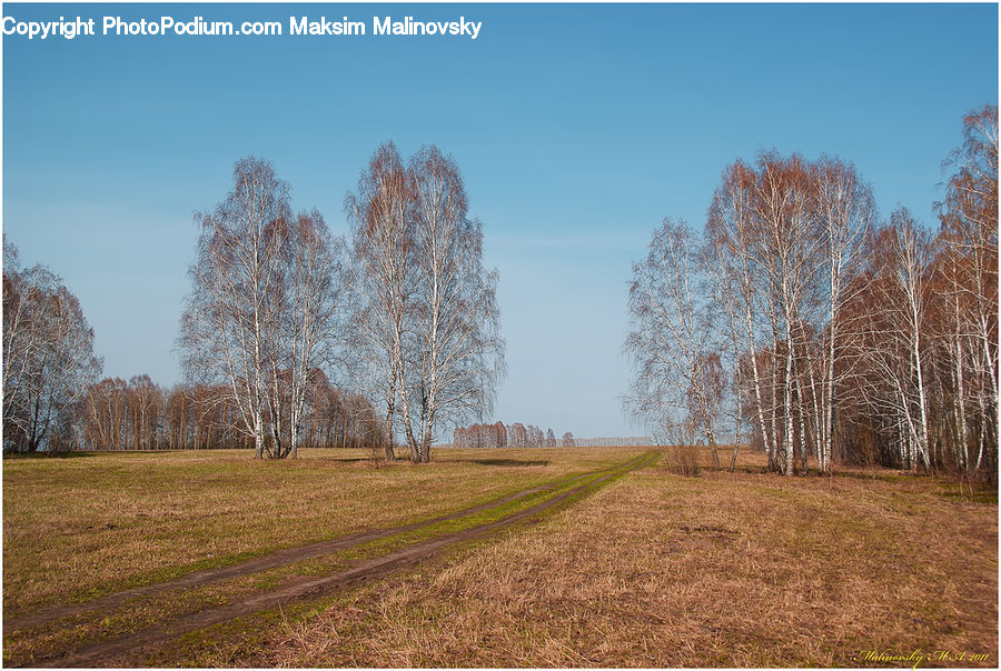 Dirt Road, Gravel, Road, Grassland, Mound, Field, Grass
