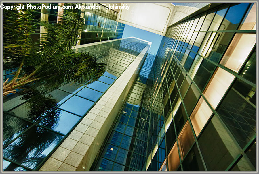 Architecture, Housing, Skylight, Window, Building, Office Building, City