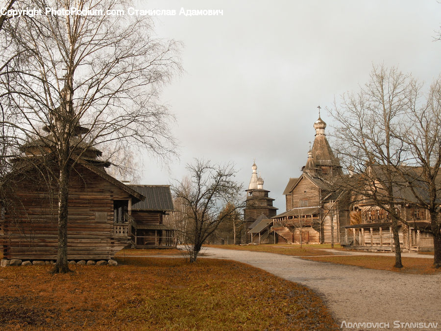Cabin, Hut, Rural, Shack, Shelter, Building, Dirt Road