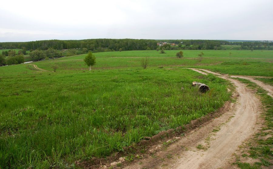 Dirt Road, Gravel, Road, Countryside, Grassland, Meadow, Outdoors