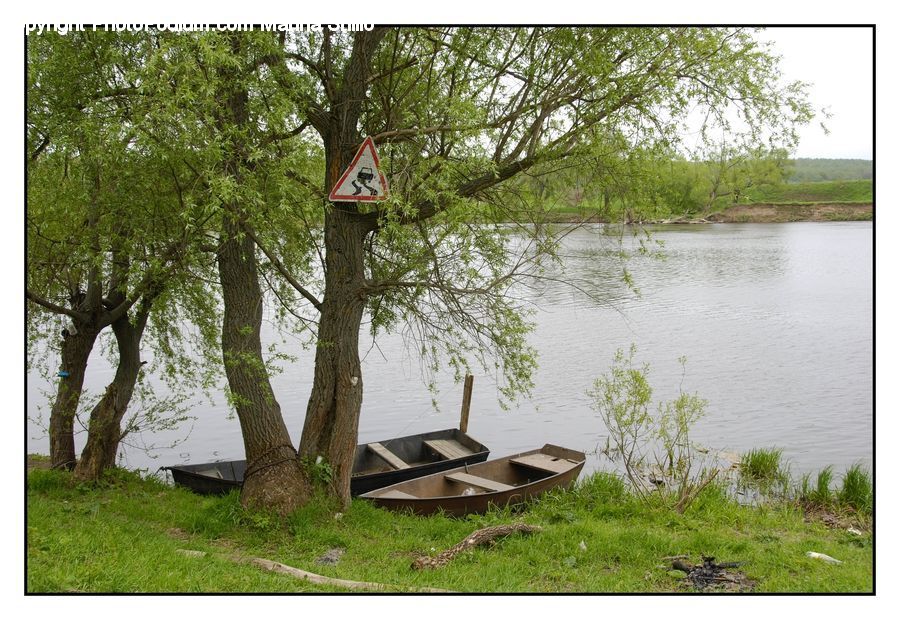 Boat, Rowboat, Vessel, Plant, Tree, Dock, Landing