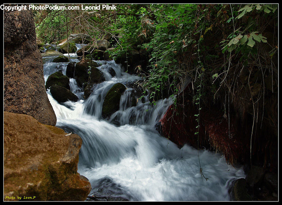 Creek, Outdoors, River, Water, Waterfall, Forest, Jungle