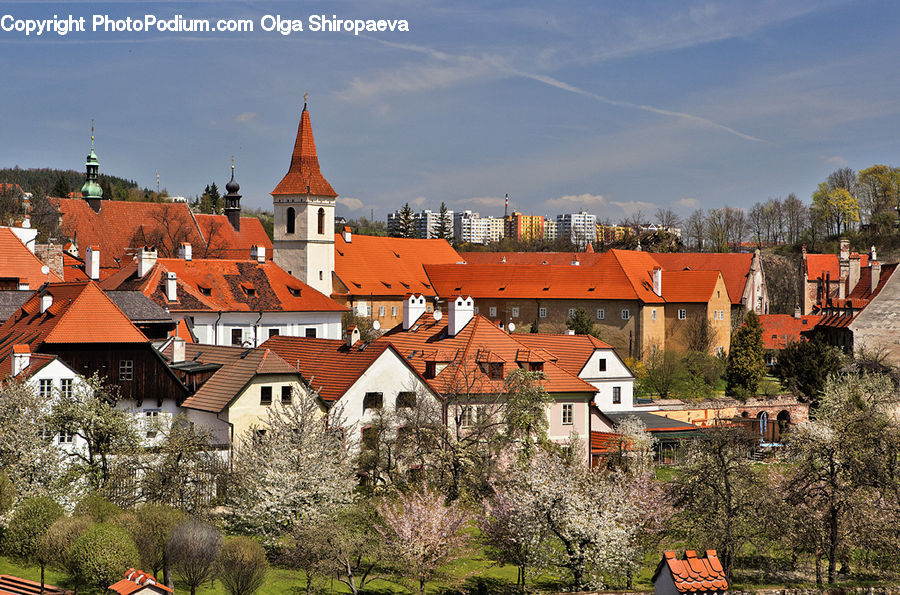 Roof, Architecture, Housing, Monastery, Building, House, Brick