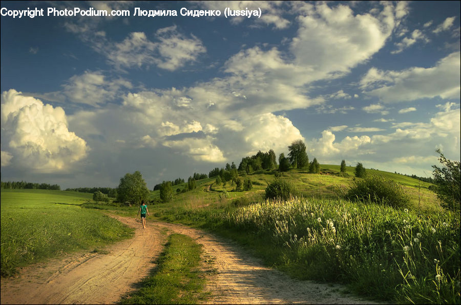 Dirt Road, Gravel, Road, Field, Grass, Grassland, Meadow