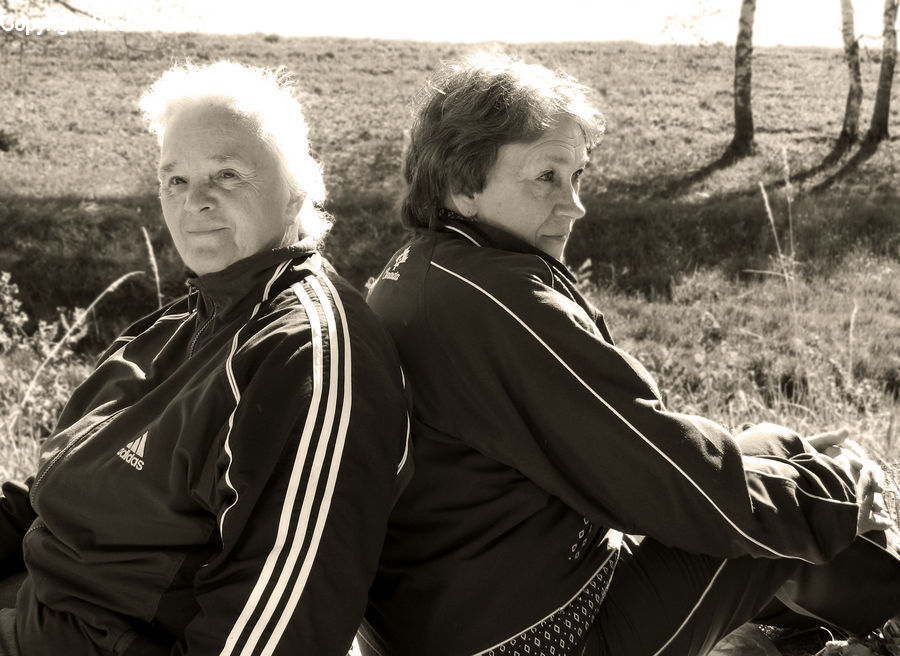 Human, People, Person, Bench, Field, Grass, Grassland