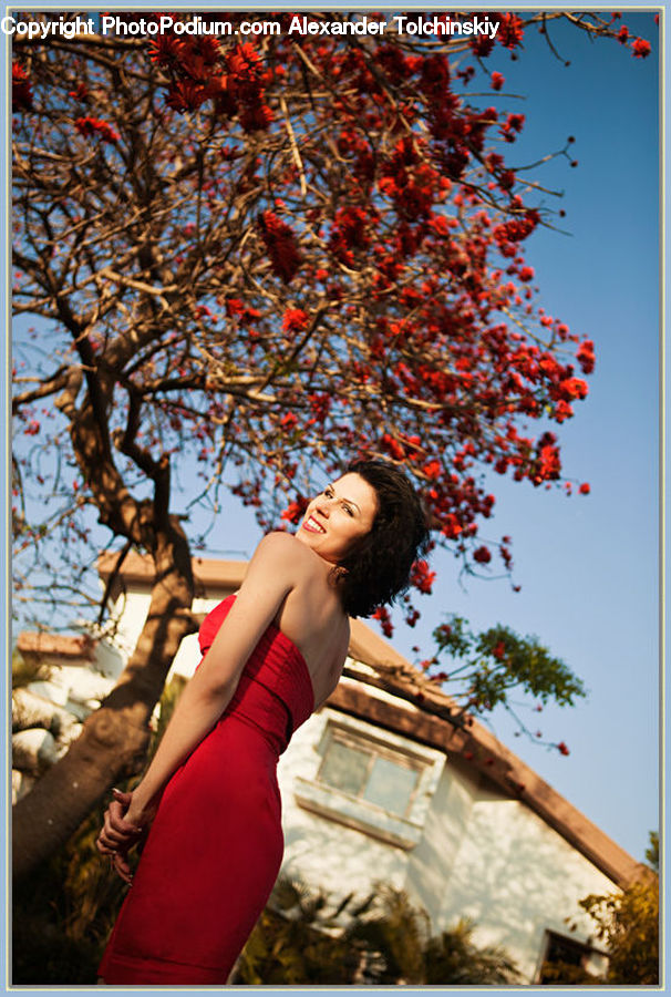 People, Person, Human, Plant, Potted Plant, Female, Girl