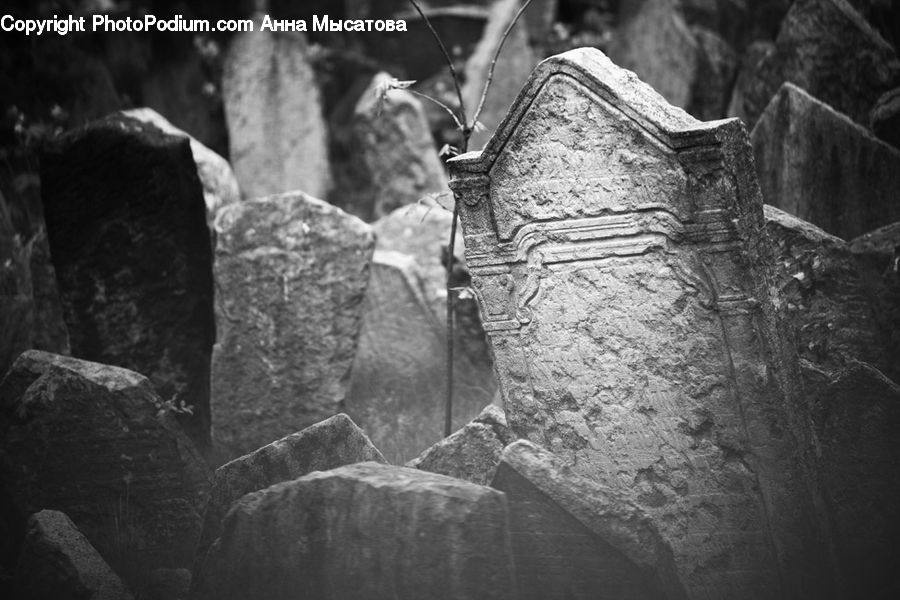 People, Person, Human, Rock, Tomb, Rubble, Plant