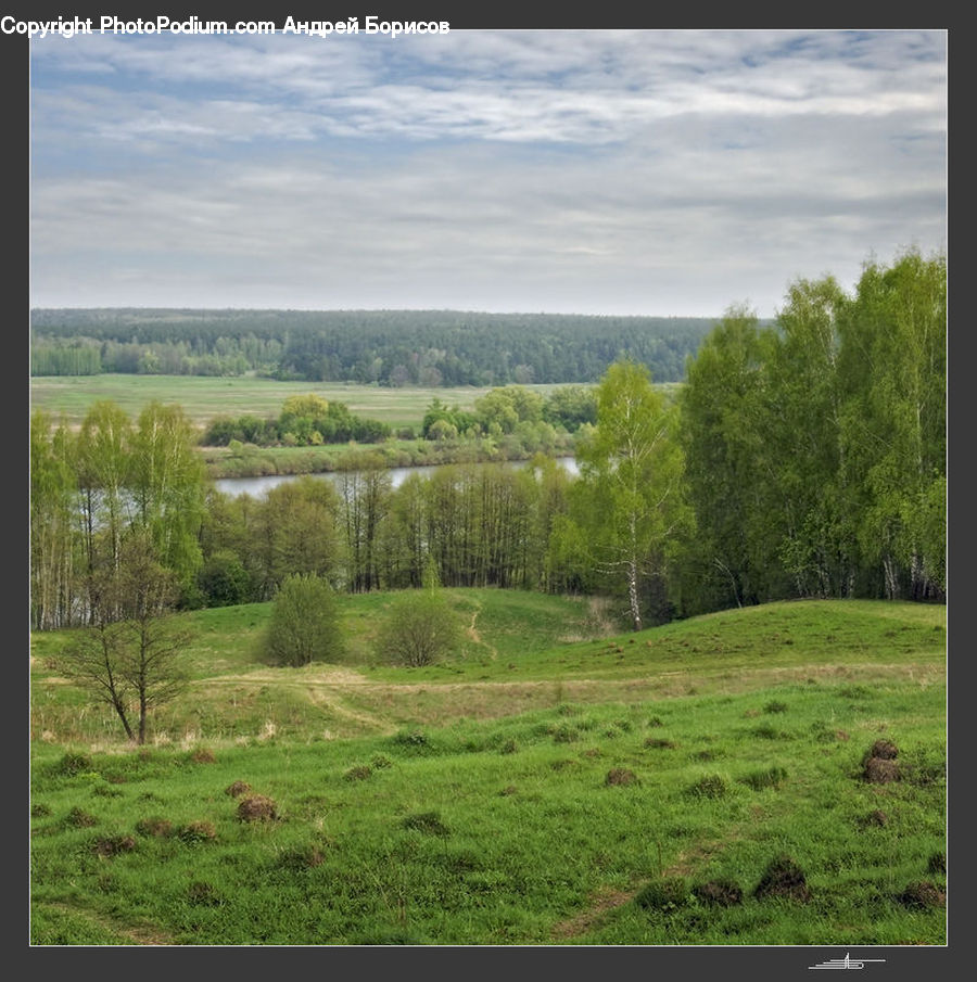 Field, Grass, Grassland, Land, Outdoors, Landscape, Nature