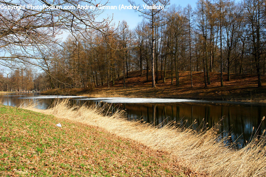 Field, Grass, Grassland, Plant, Outdoors, Pond, Water
