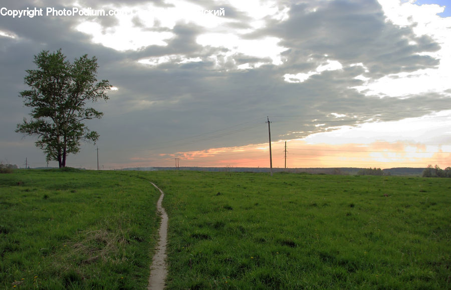 Dirt Road, Gravel, Road, Field, Grass, Grassland, Land