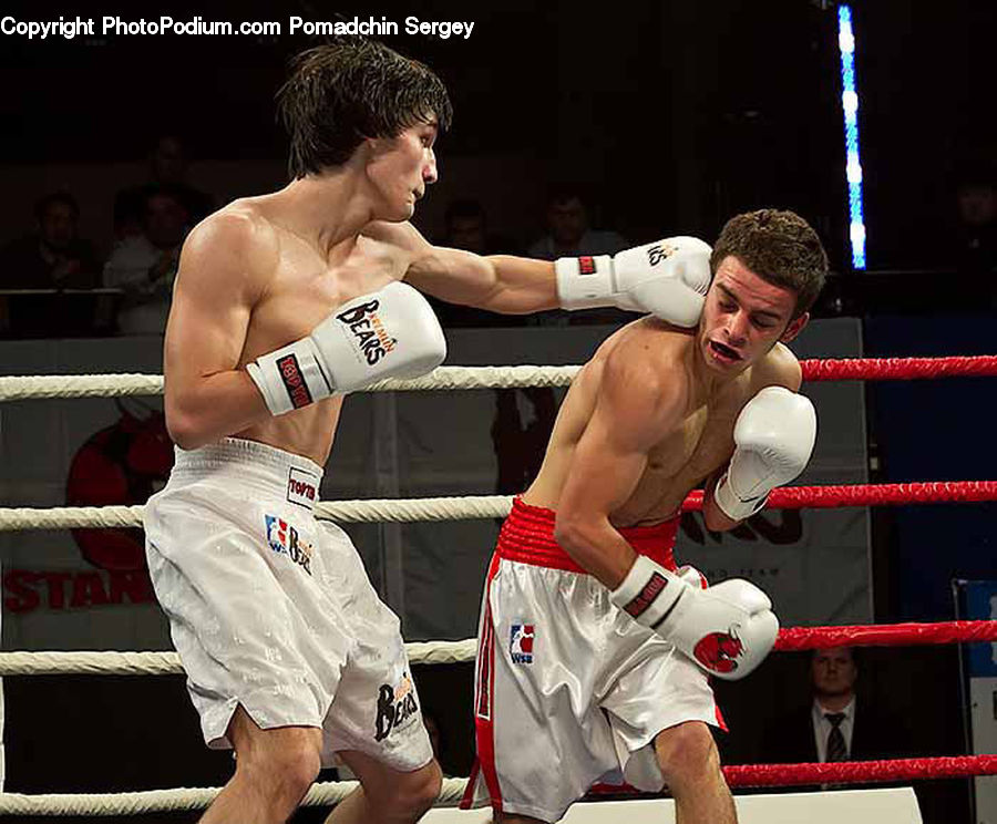 Boxing, Fitness, Sport, People, Person, Human, Cup