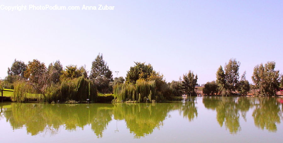 Outdoors, Pond, Water, Field, Grass, Grassland, Plant