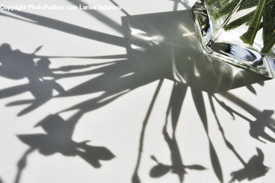 Stencil, Silhouette, Blossom, Flora, Flower, Plant, Paper