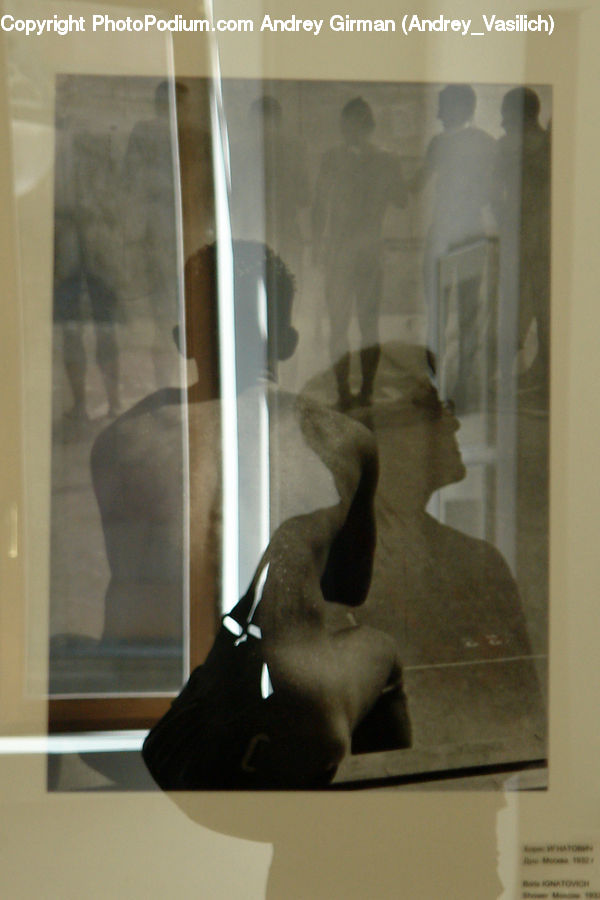Art, Modern Art, Bust, Figurine, Head, Indoors, Interior Design