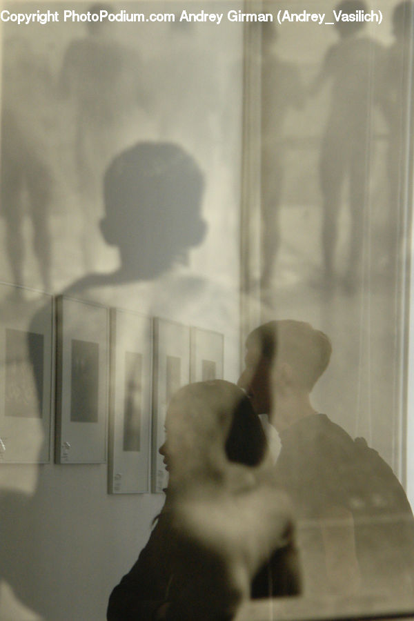 Animal, Bear, Giant Panda, Mammal, Art, Modern Art, Indoors