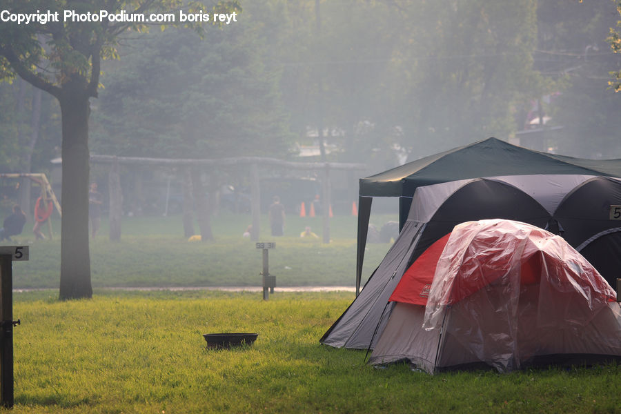 Camping, Mountain Tent, Tent, Plant, Tree, Oak, Wood