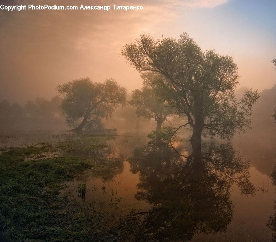 Fog, Mist, Outdoors, Dawn, Dusk, Sky, Sunrise