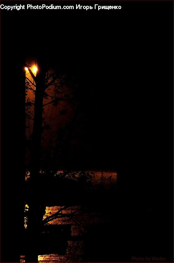 Night, Outdoors, Fire, Plant, Tree, Flare, Light