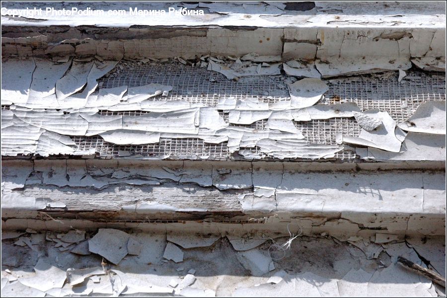 Flagstone, Rubble, Pavement, Birch, Tree, Wood, Paper