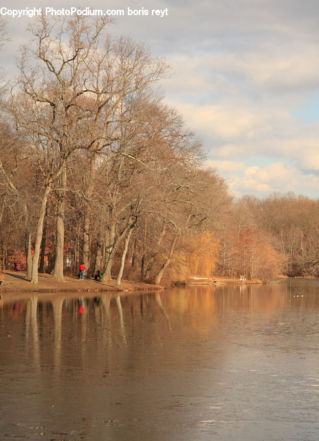 Flood, Landscape, Nature, Scenery