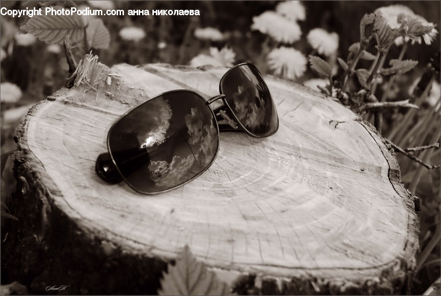 People, Person, Human, Plant, Potted Plant, Dish, Food