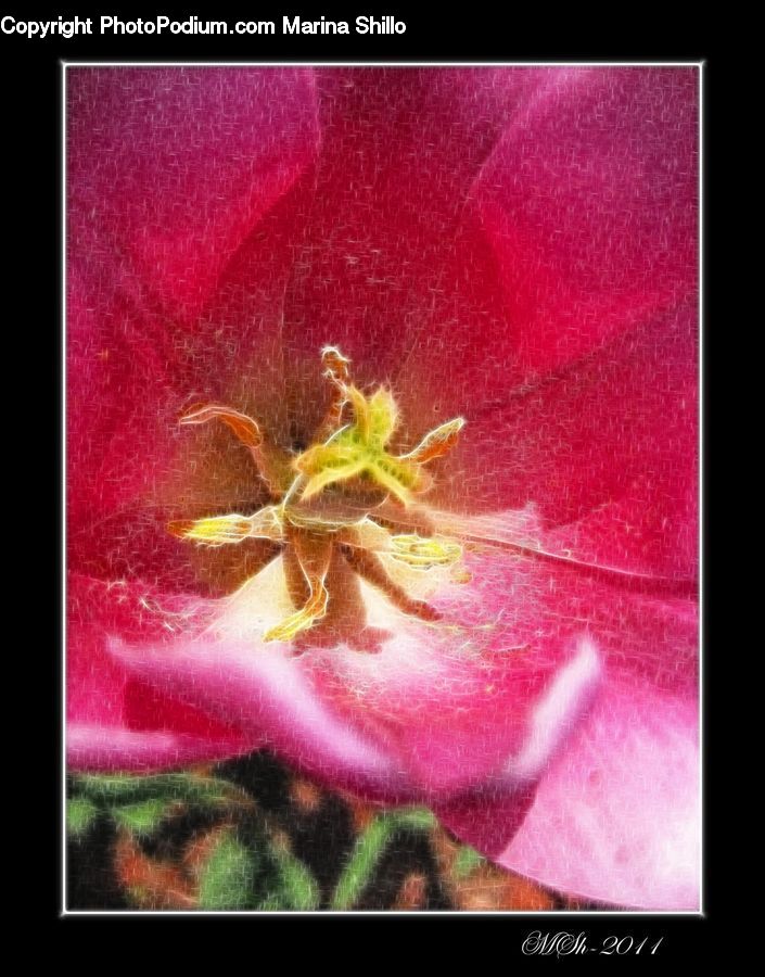 Collage, Poster, Art, Flyer, Anther, Flower, Petal