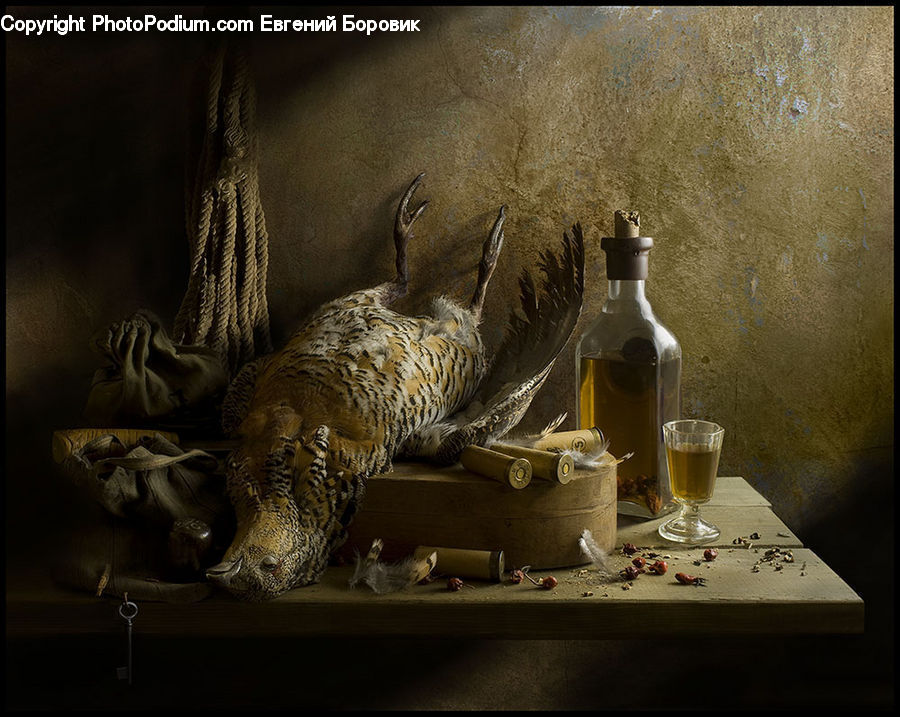 Bottle, Bird, Flicker Bird, Woodpecker, Goose, Waterfowl, Beverage