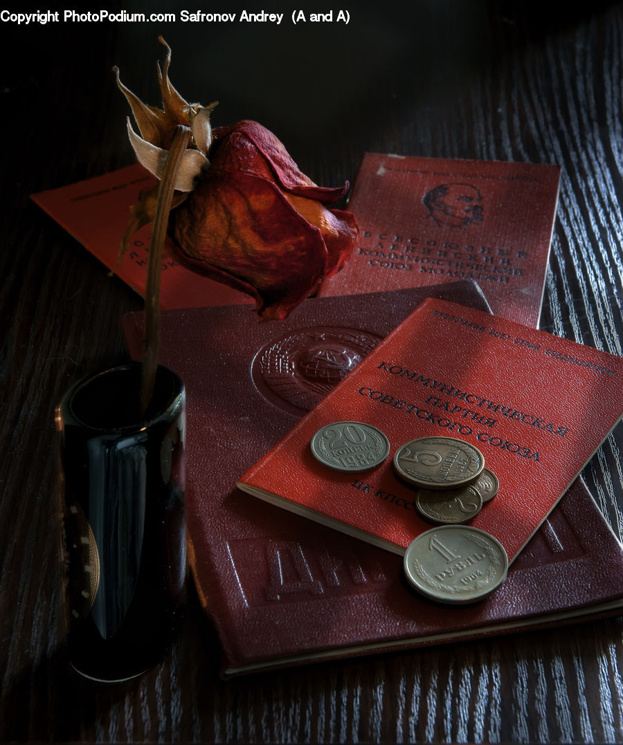 Cup, Coin, Money, Beverage, Hot Chocolate, Milkshake, Aquilegia