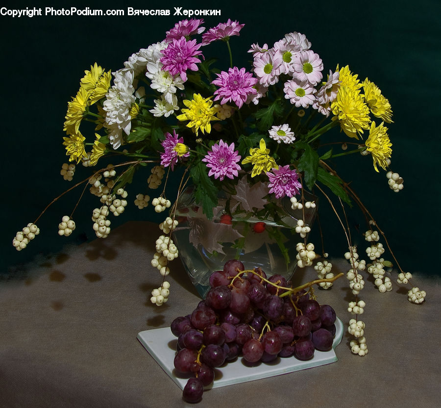 Fruit, Grapes, Blossom, Flora, Flower, Plant, Floral Design