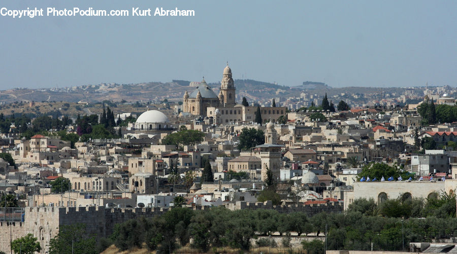 Aerial View, City, Downtown, Plant, Potted Plant, Metropolis, Urban