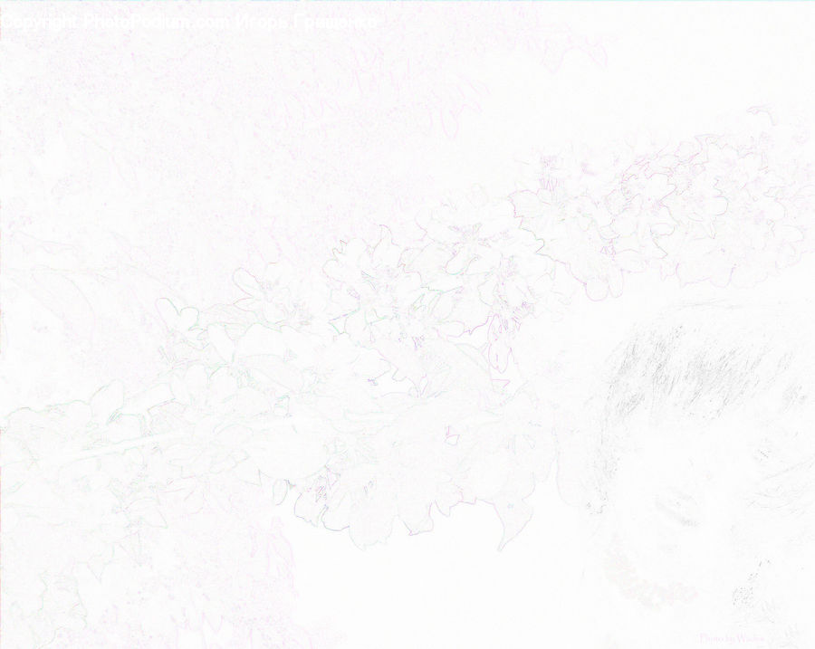 Paper