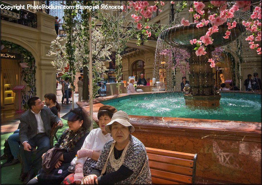 People, Person, Human, Pool, Water, Plant, Potted Plant