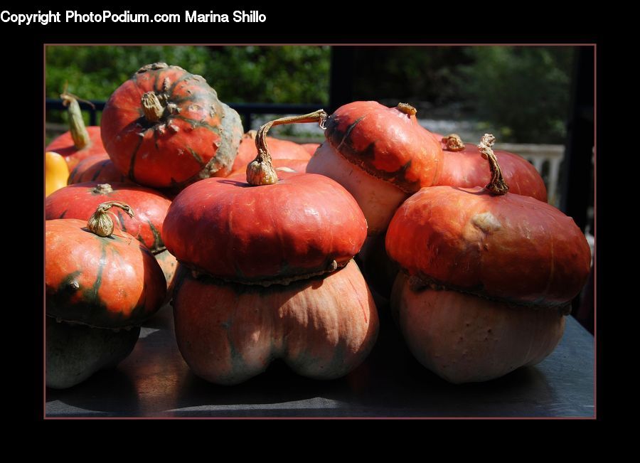 Pumpkin, Squash, Vegetable, Produce, Fruit, Persimmon, Hip Fruit