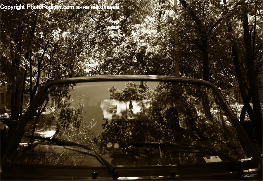Car Mirror, Mirror, Fountain, Water, Plant, Potted Plant, Locomotive