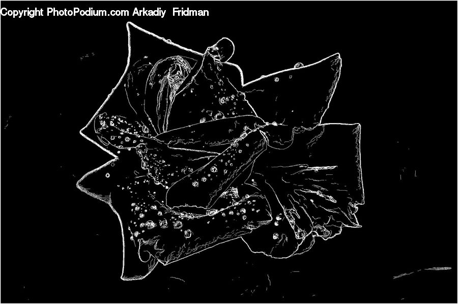 Brochure, Flyer, Poster, Art, Modern Art, Accessories, Text