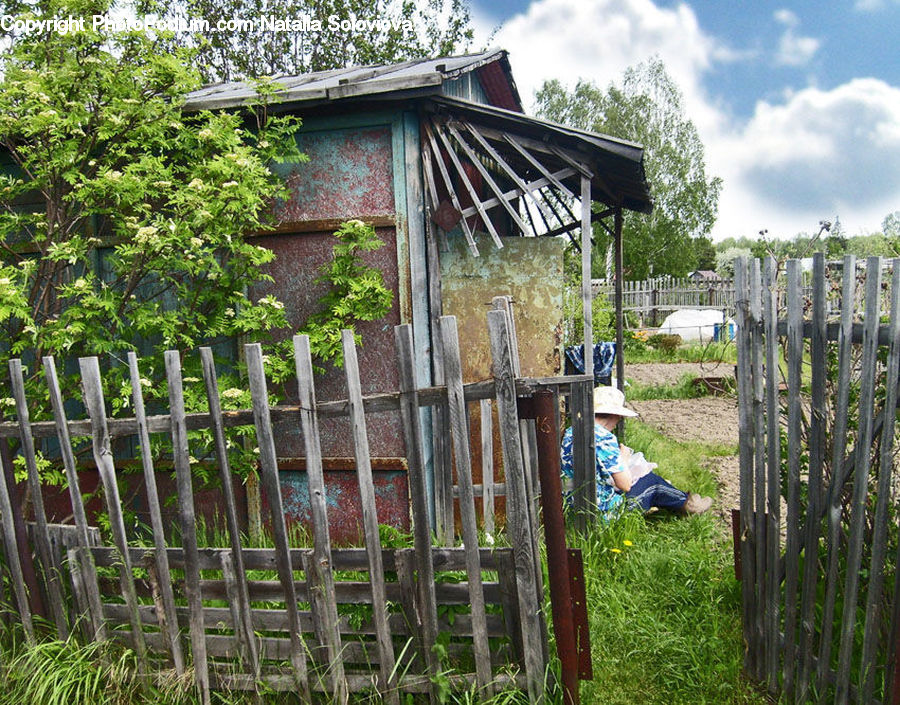 Cabin, Hut, Rural, Shack, Shelter, Backyard, Yard