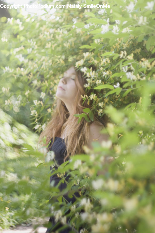 Blonde, Female, Person, Woman, Blossom, Flower, Lilac