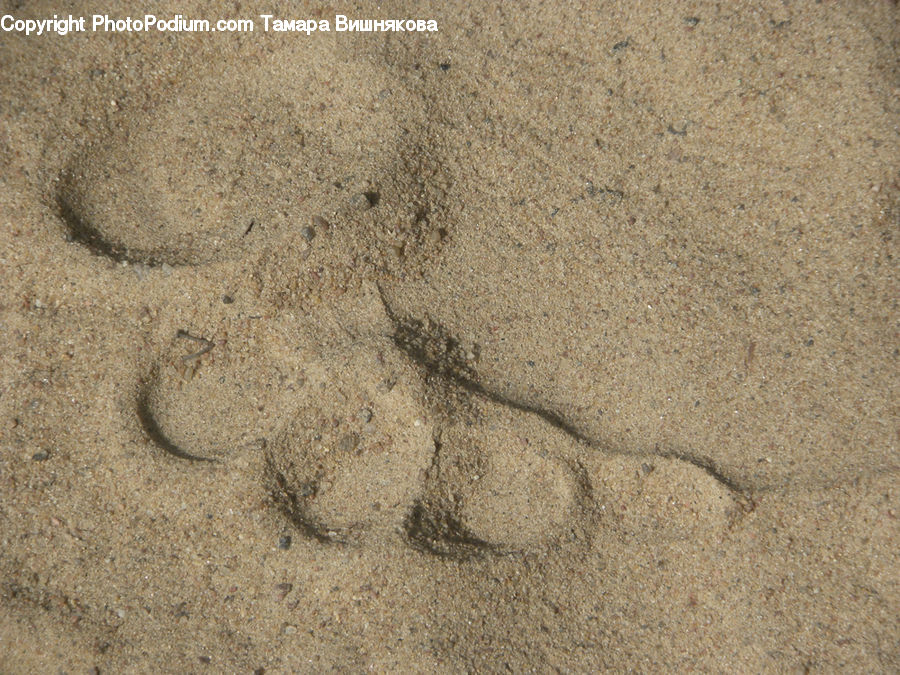 Footprint
