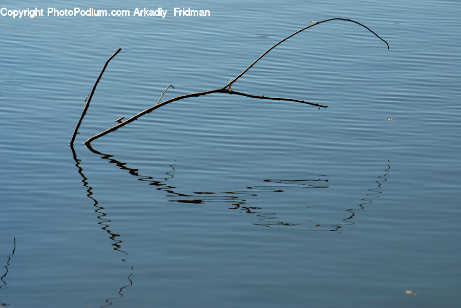 Outdoors, Ripple, Water, Field, Grass, Grassland, Plant