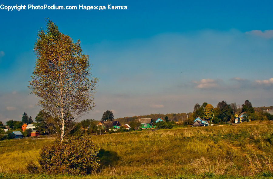 Field, Grass, Grassland, Land, Outdoors, Cabin, Hut
