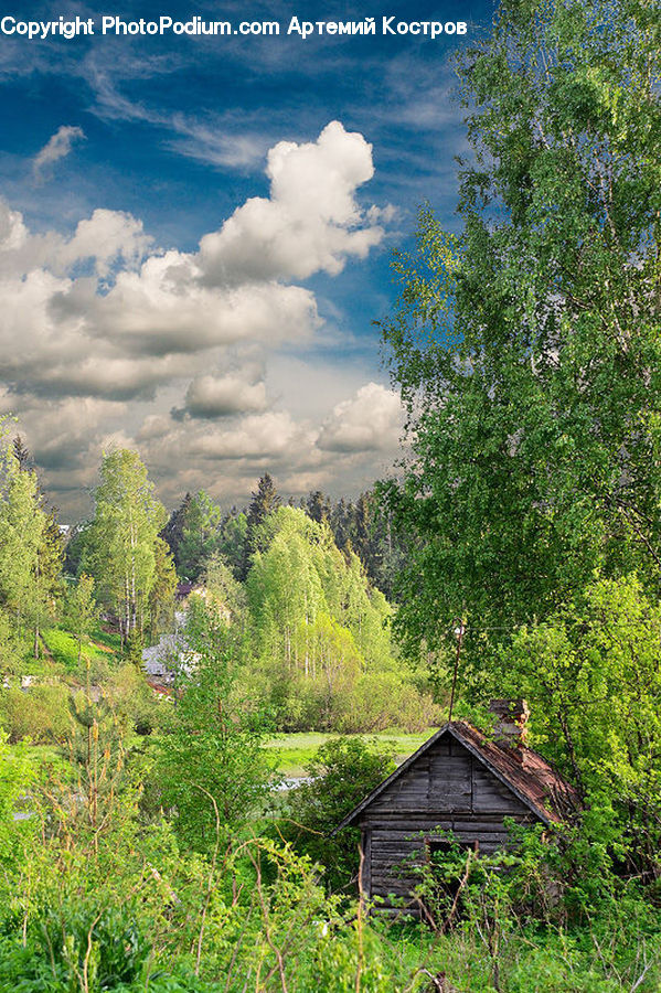 Building, Hut, Shelter, Cottage, Housing, Cabin, Rural