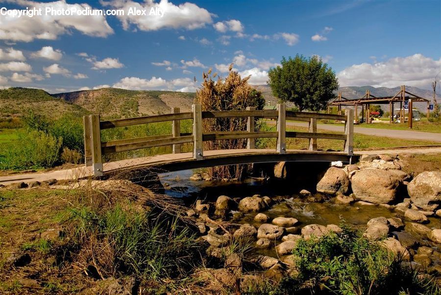 Plant, Vegetation, Bridge, Outdoors, Pond, Water, Moss