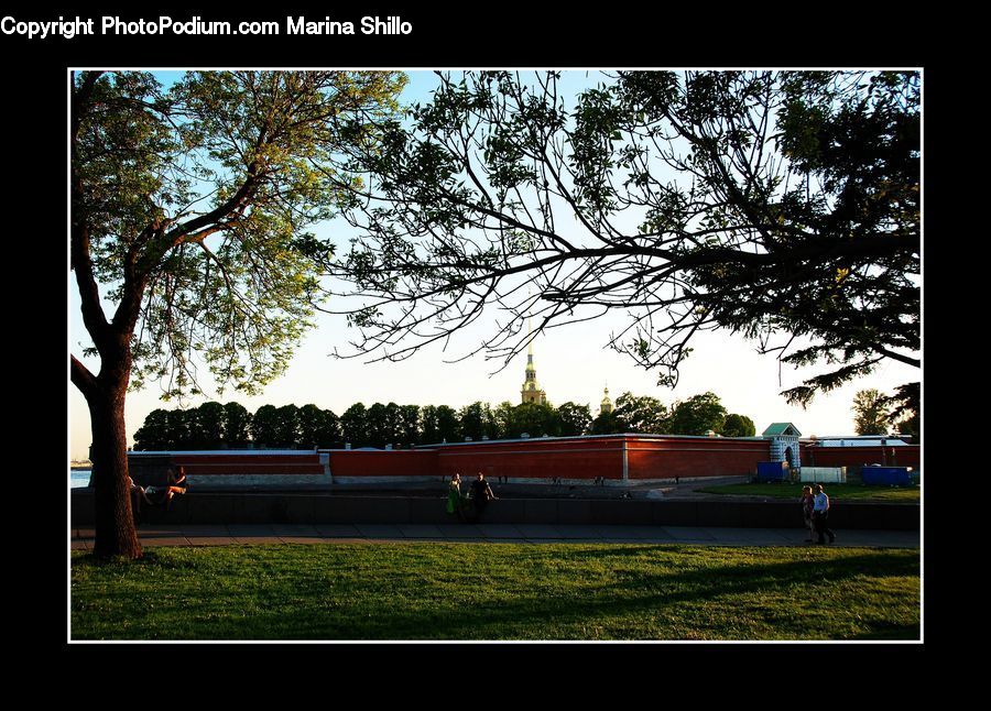 Field, Grass, Grassland, Plant, Building, Tree, Bench