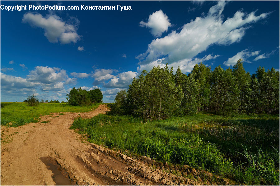 Dirt Road, Gravel, Road, Landscape, Nature, Scenery