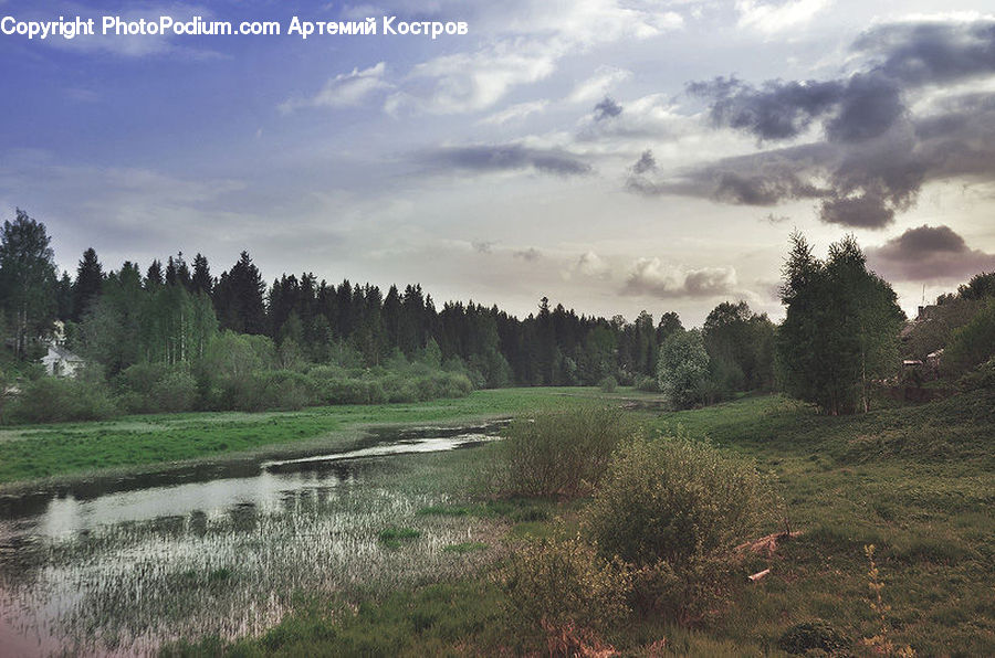 Landscape, Nature, Scenery, Field, Grass, Grassland, Land